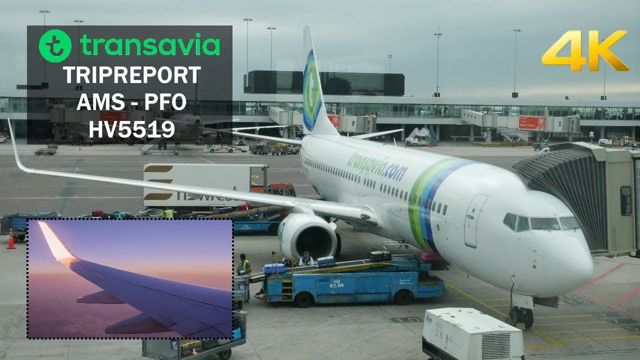 ✈ [4K] TRIPREPORT | Transavia | B737-800 | Amsterdam (AMS) - Paphos (PFO) | Economy Class