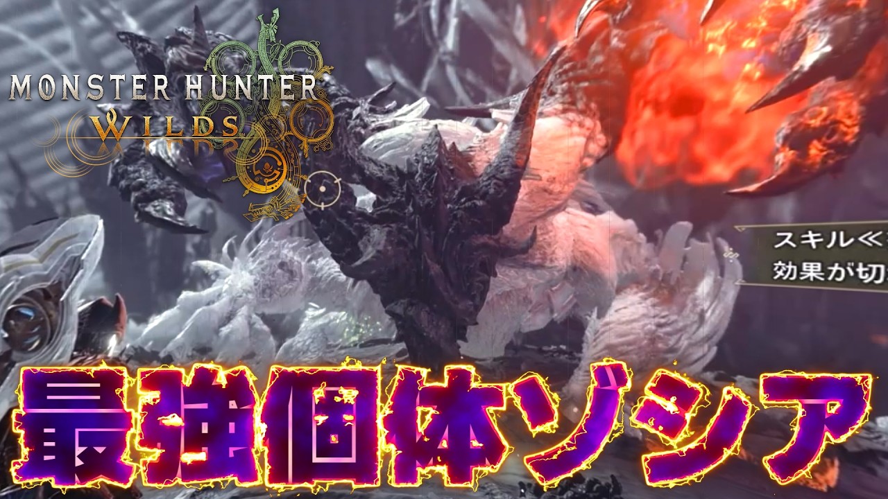 【新実装】『☆10個体ゾ・シア』の火力とタフさやべぇえ！！【モンハンワイルズ/PS5pro】