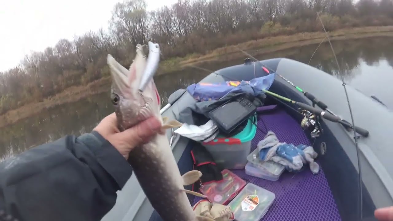 Второй день, щуки жрут, эх Шанина бы сюда!