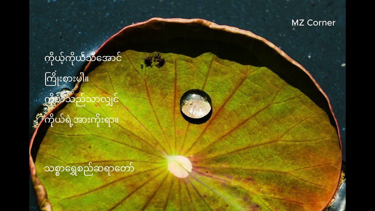 မိမိကိုယ်ကို နားလည်အောင် ကြိုးစားပါ - သစ္စာရွှေစည်ဆရာတော် အရှင်ဥတ္တမ