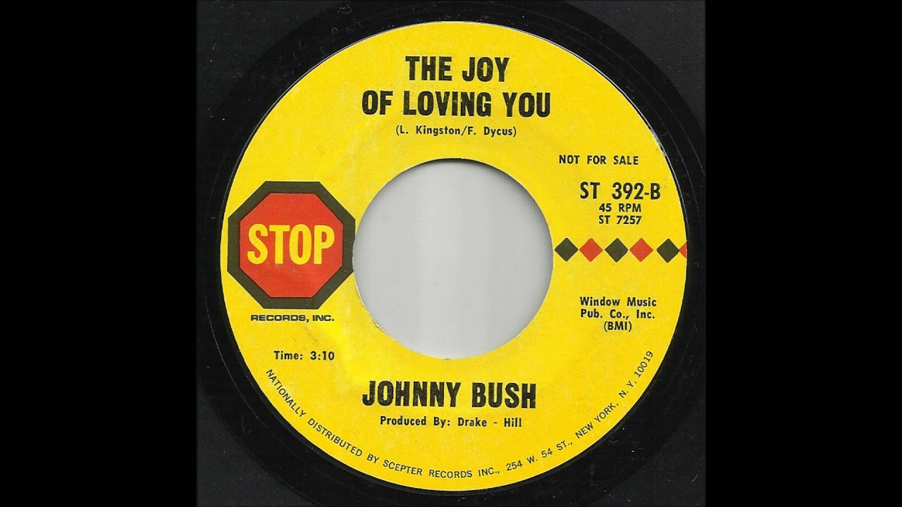Johnny Bush - The Joy Of Loving You