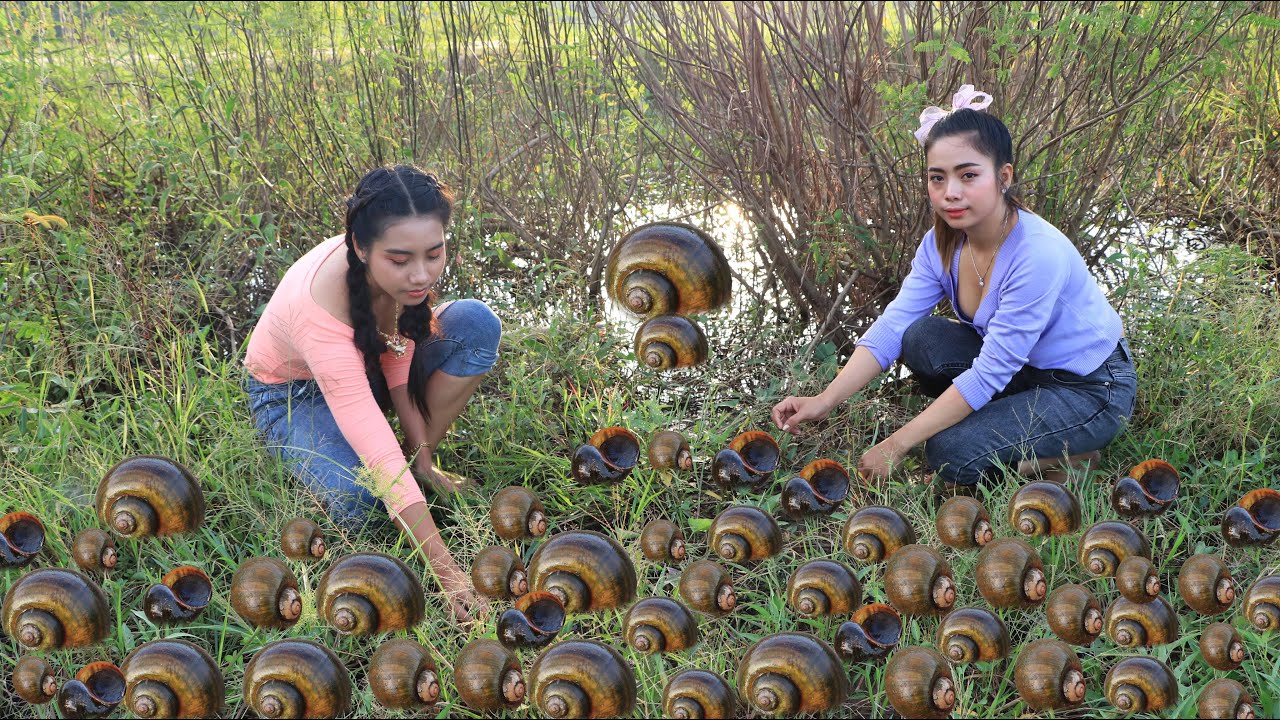 Catch and Cook snail with my sister in my homeland - Cooking