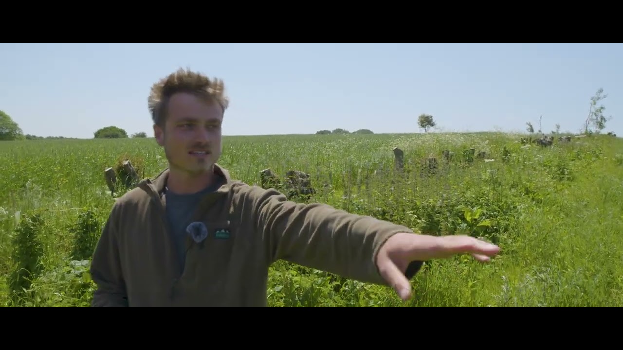 TO THE FARM: THE HOSFORDS
