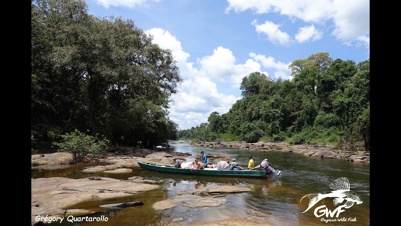 EXPEDITION TAMPOCK 2020, MARONI WATERSHED, FRENCH GUIANA, WITH GUYANE WILD FISH ASSOCIATION