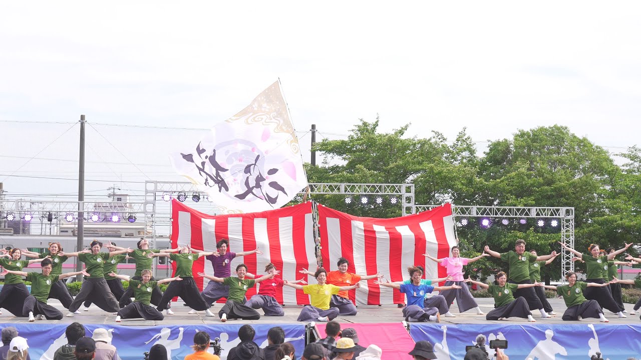 [4K] 波桜 2回目　犬山踊芸祭 2025 日曜日