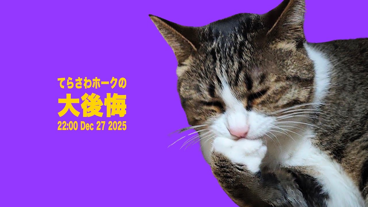 てらさわホークの大後悔