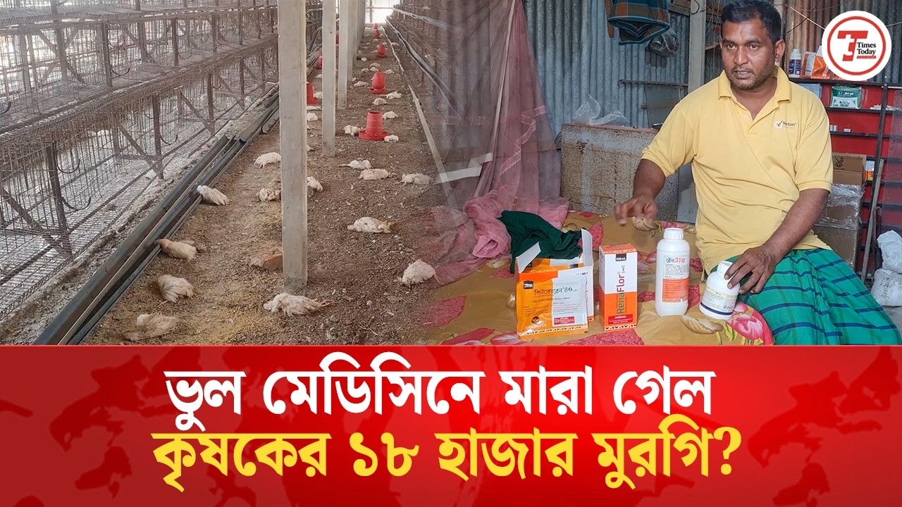 ডাক্তারের ভুল চিকিৎসায় ১৮ হাজার মুরগির মৃ’ত্যু?  | Times Today