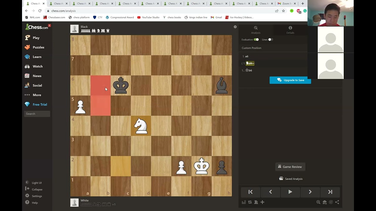 Imagination in Chess (1)