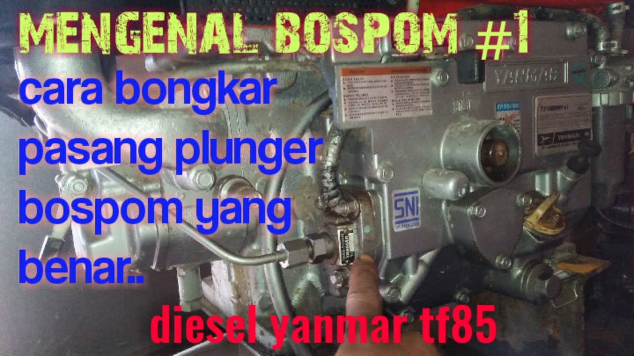 cara bongkar pasang plunger bospom diesel yanmar tf85 || yanmar tf85