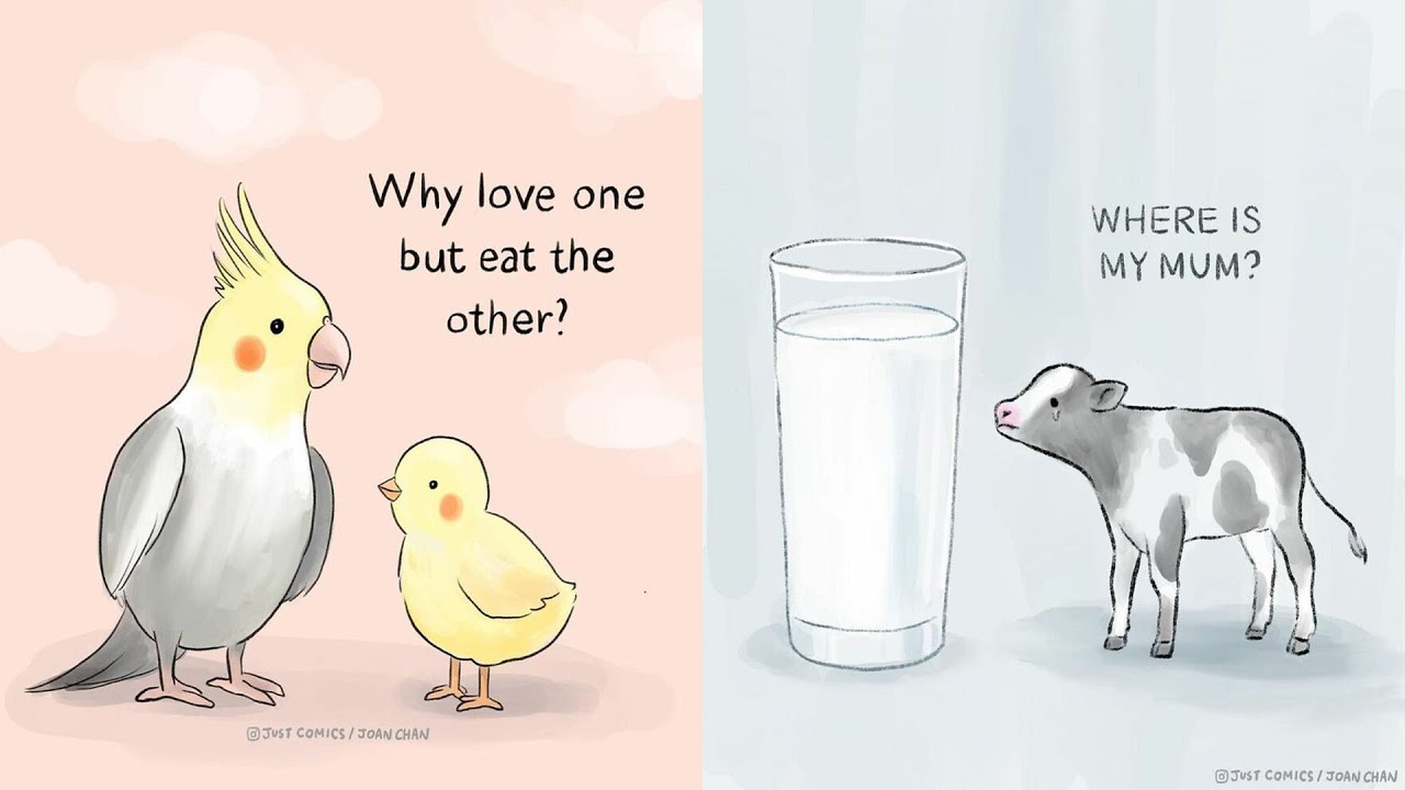 Comics To Expose The Sad Reality Of Many Animals (Part 2)