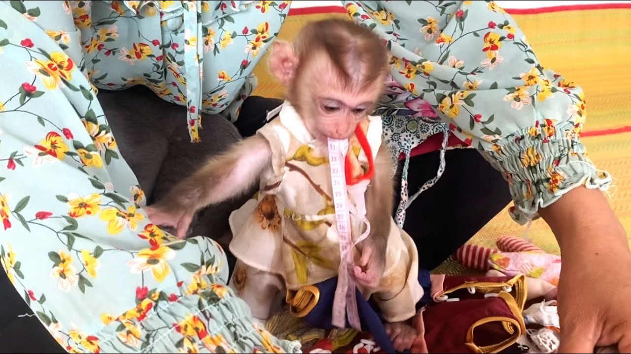 So Funny !! The Amazing Baby  LIORA puts a meter in her mouth, maybe she wants to measure her tongue
