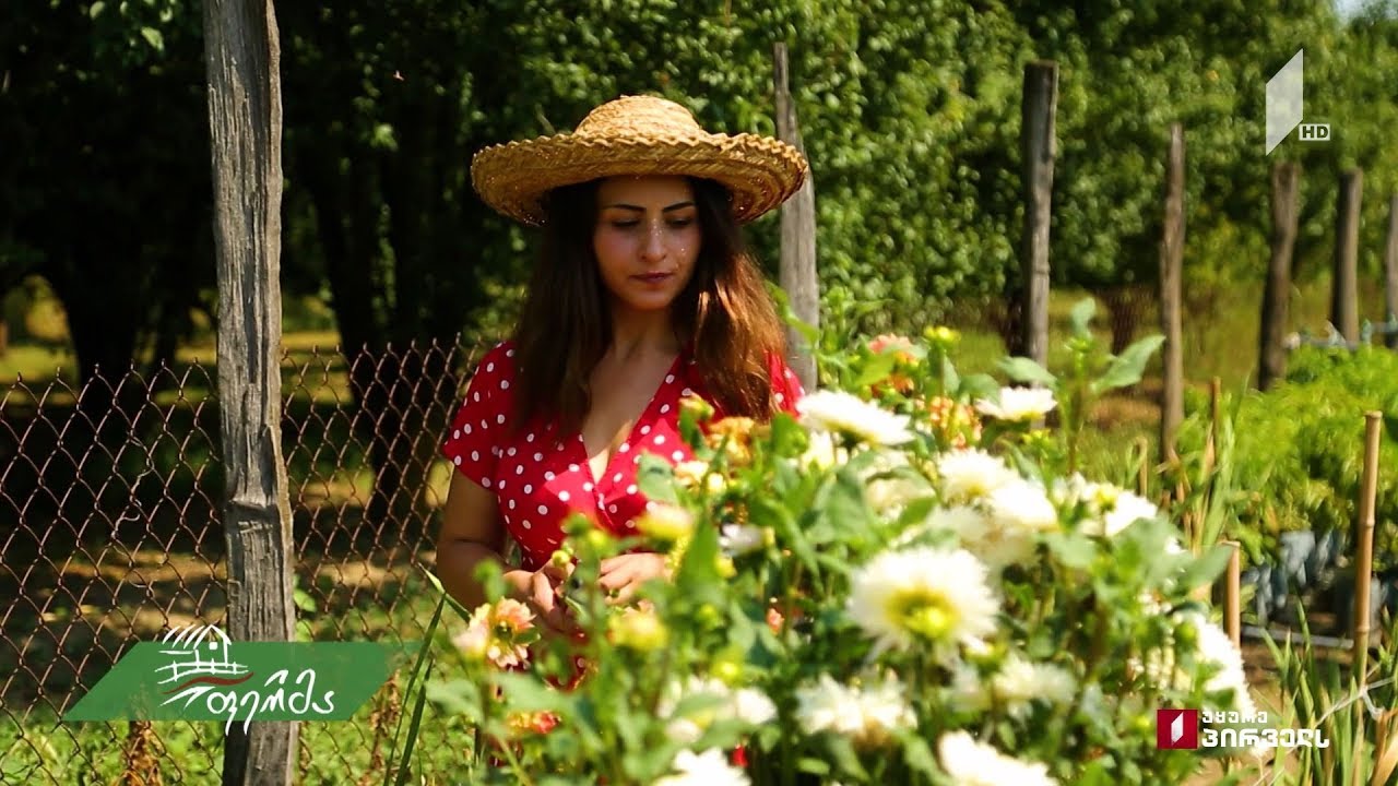 #არტიშოკი ლაგოდეხელი რებეკა ხუგაევას ჯუჯა ხეხილისა და ათასფერი ყვავილების სამყარო