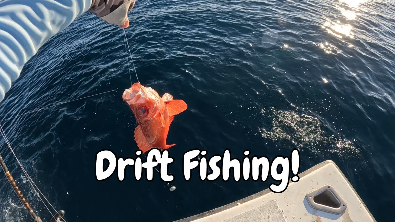 DRIFT FISHING THE SHALLOWS - Party Boat Fishing Trip In Fort Lauderdale, Florida