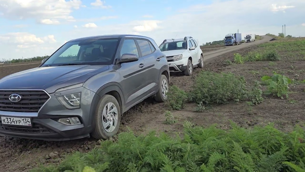 Какую морковь хотят все?