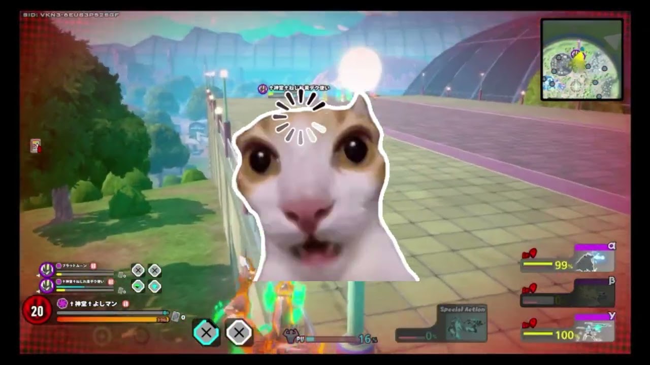 タイマン動画