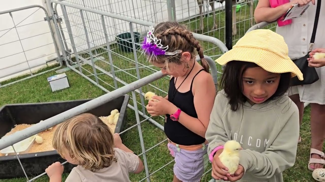 Vlog - Whangarei A&P Show New Zealand, Hot Summers Day