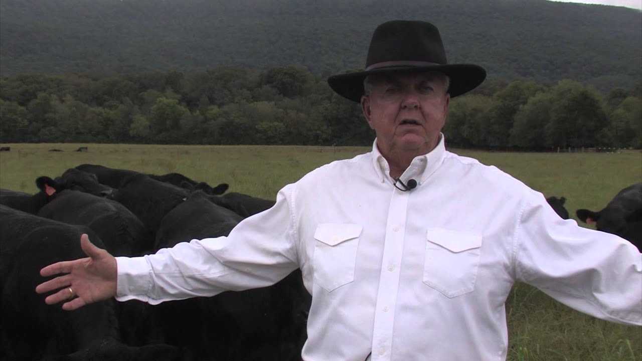 Jan Johnson on the Benefits of Rotational Grazing 2/24