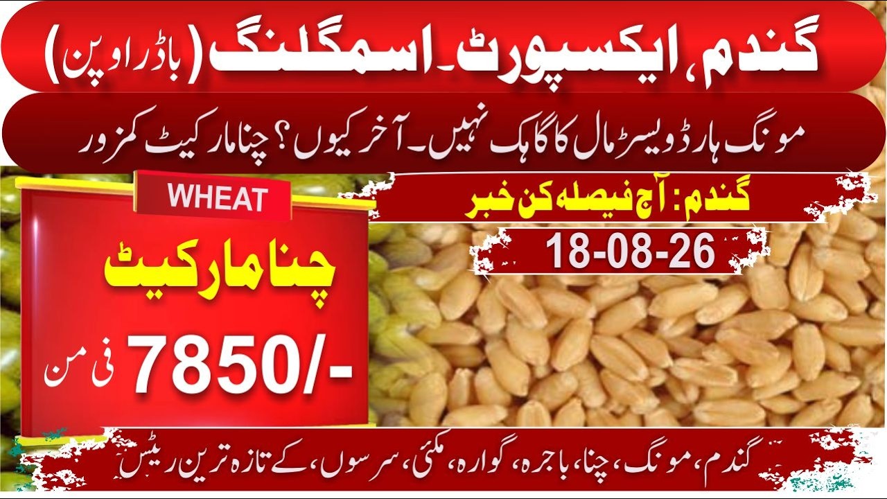 Wheat Import vs Smuggling | Wheat Price Drop Explained | Moong Rate Falling? | Chana & Guar Price