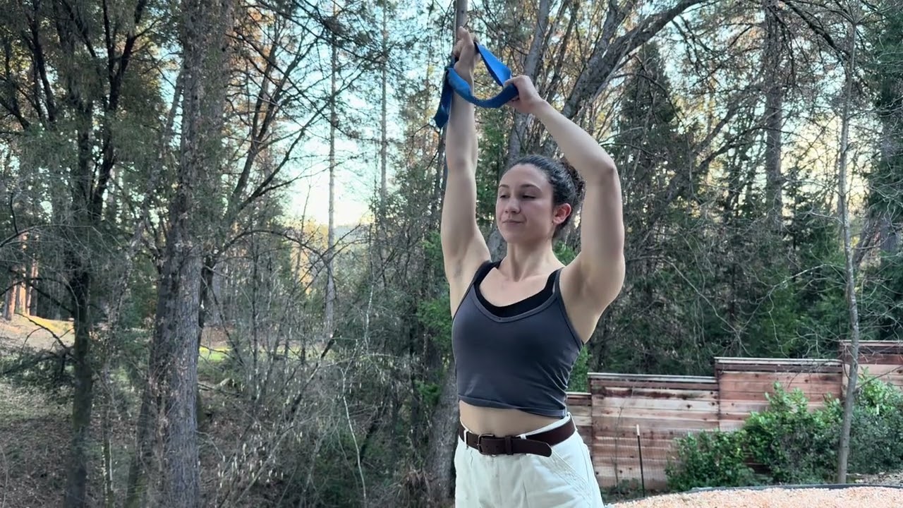 Lat Pull Downs