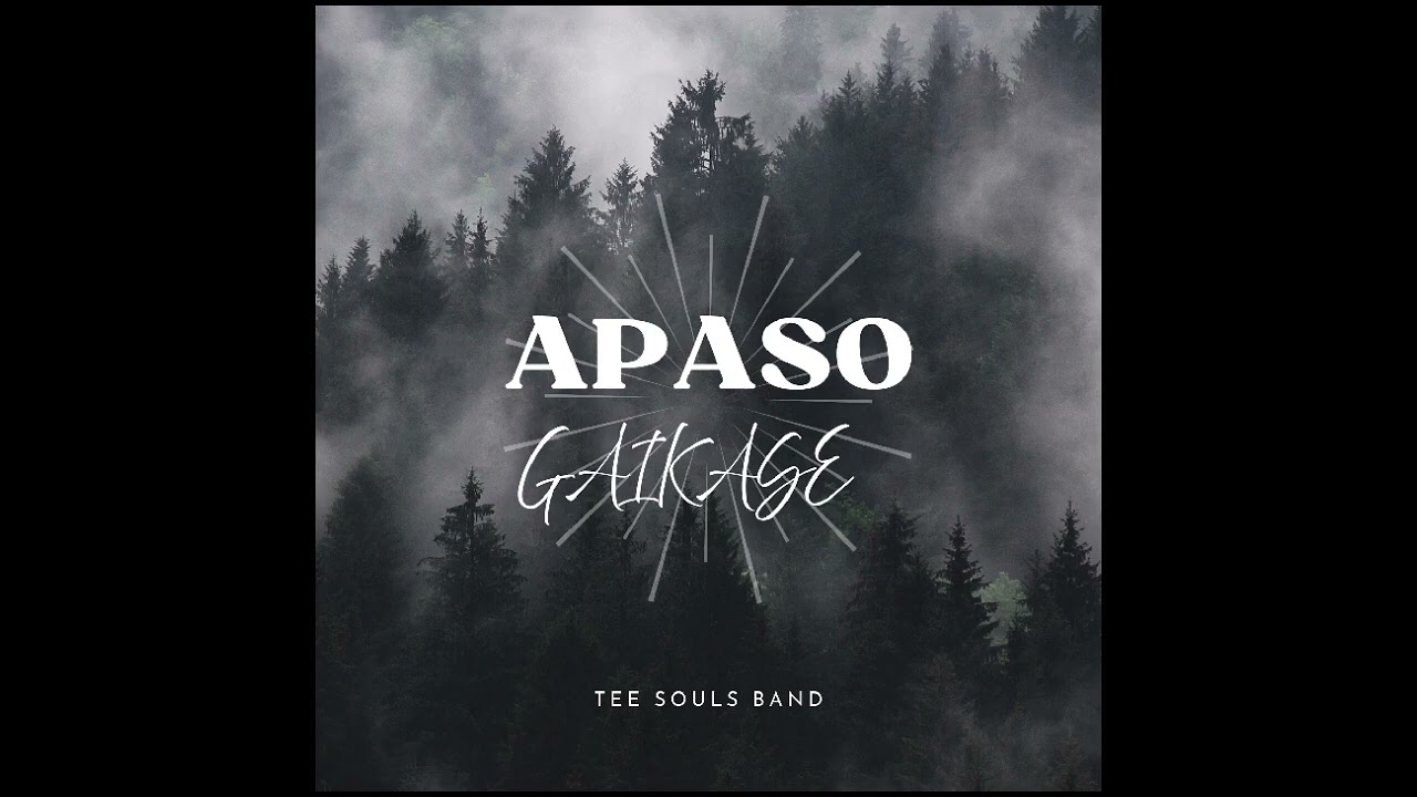 APASO GAIKASE - TEE SOULS BAND