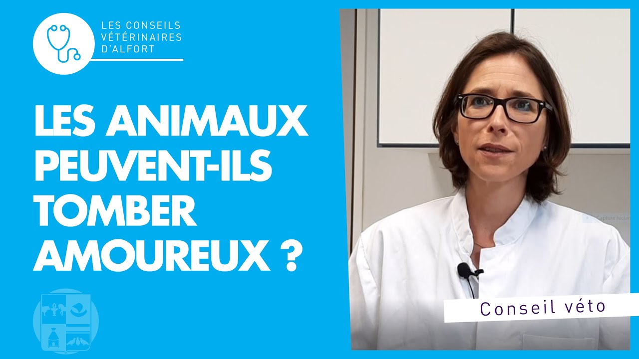 Saint Valentin : les animaux peuvent ils tomber amoureux ?