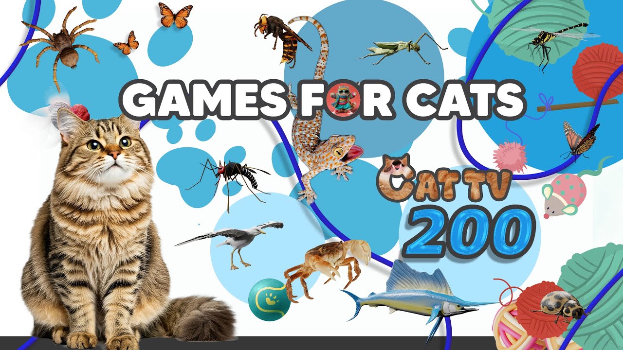 Cat Games | Ultimate Game For Cat Compilation Vol 200 | 6 HOUR 🐭🐝🐞🦋🦎