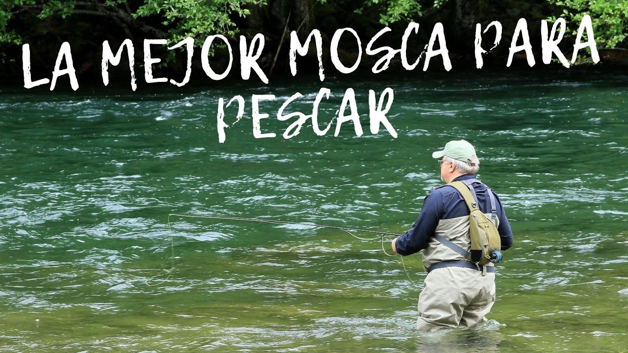 LA MOSCA INDICADA PARA PESCA CON MOSCA, MOSCA PARA PESCA,  Fly Fishing