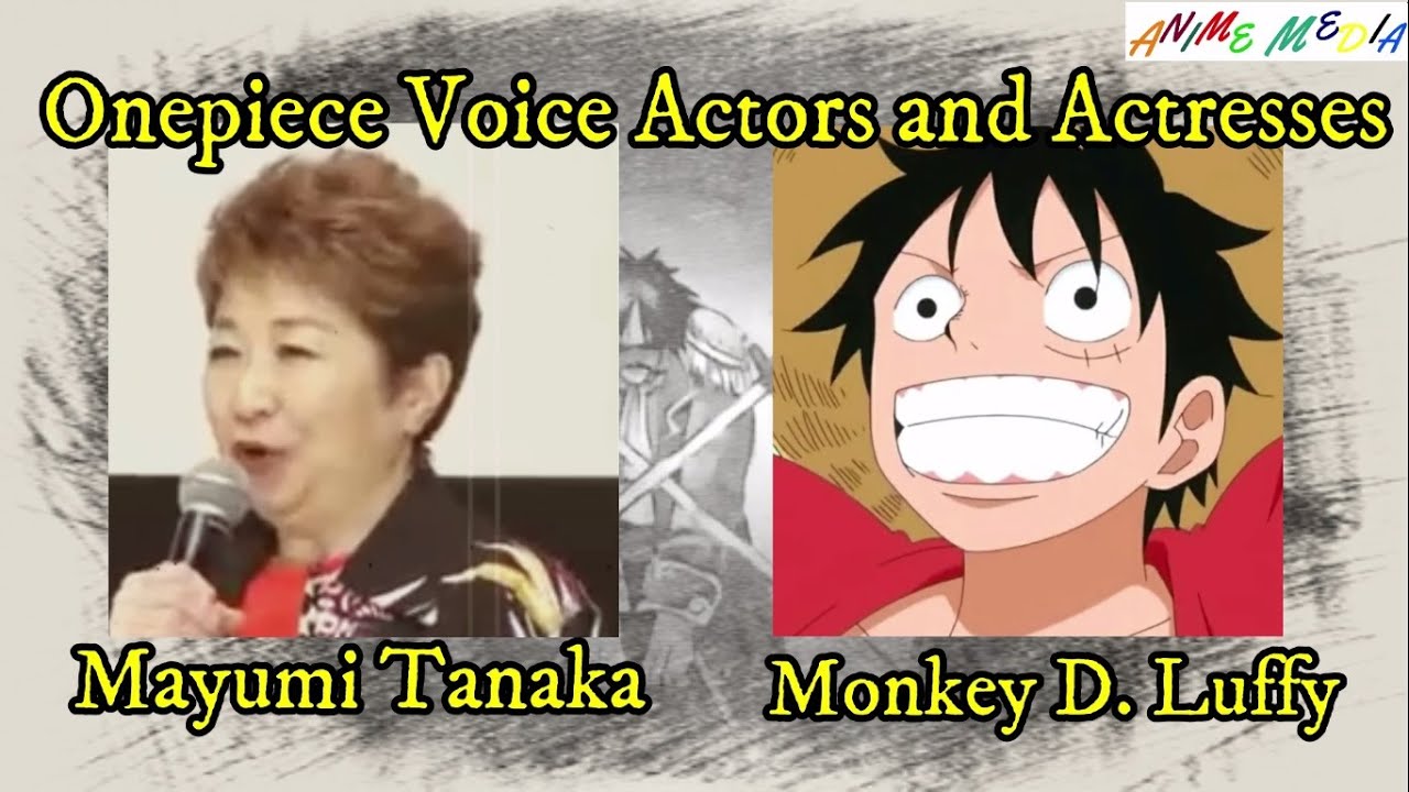 ONE PIECE Strawhat Pirates Crew Voice Actors and Characters / Luffy Voice Actor  Japanese Dub Seiyuu