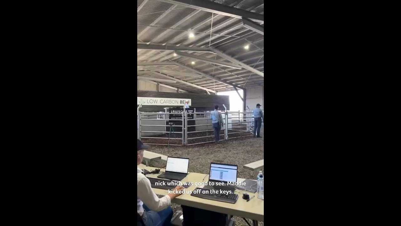 AuctionsPlus | Market Operators Day in the Life