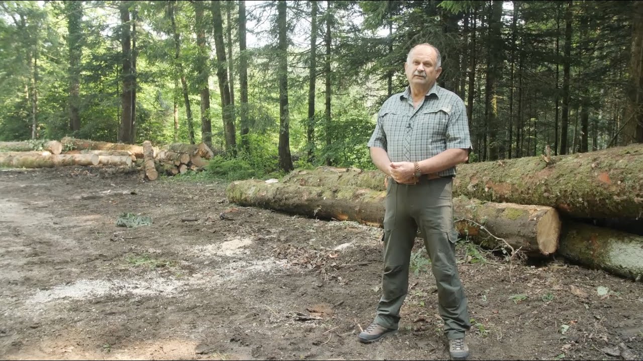 Zgodbe naših partnerjev: Gozdno gospodarstvo Novo mesto