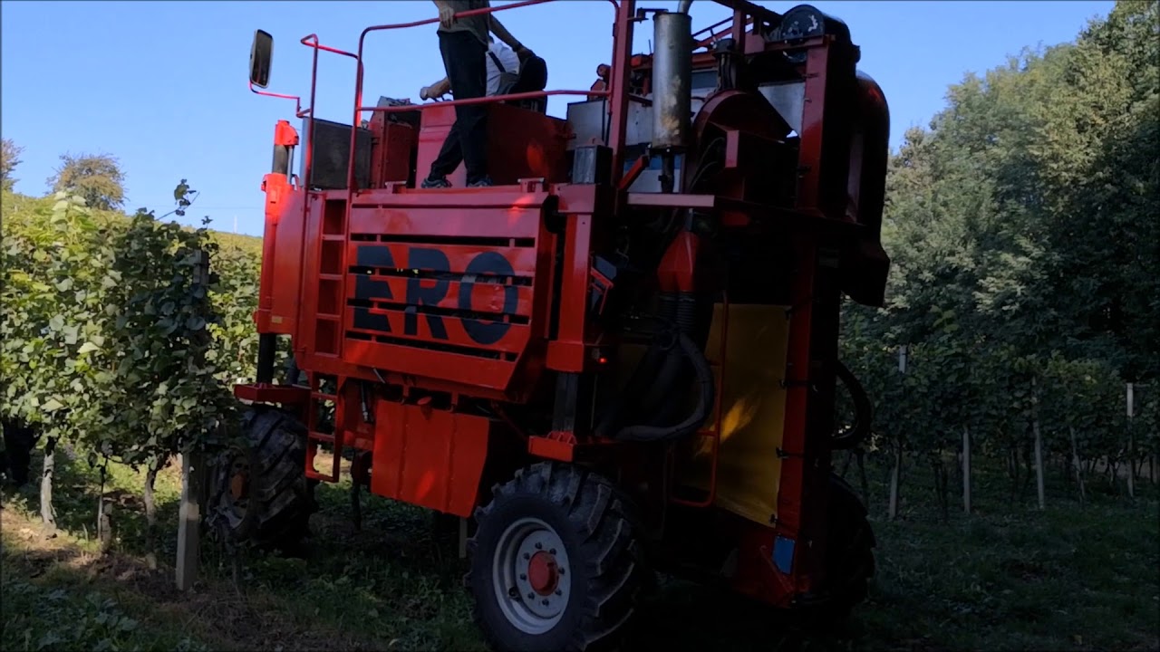 Strojno obiranje grozdja - ERO SF 190