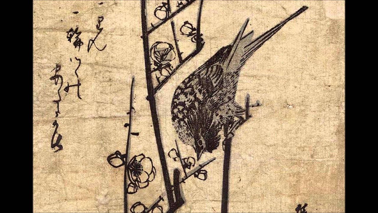 Six Organs of Admittance   One Thousand Birds