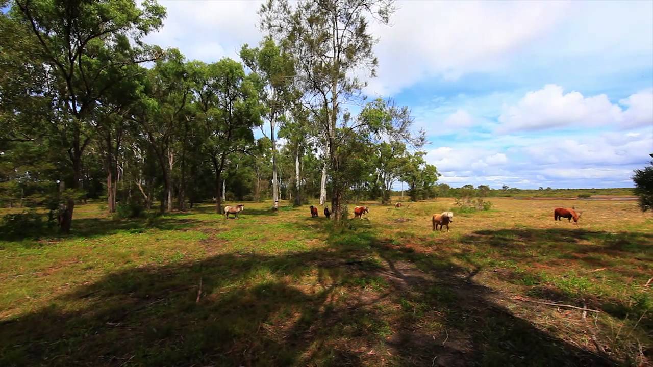 31 Toogoom Road, Toogoom Queensland By Scott Wagner
