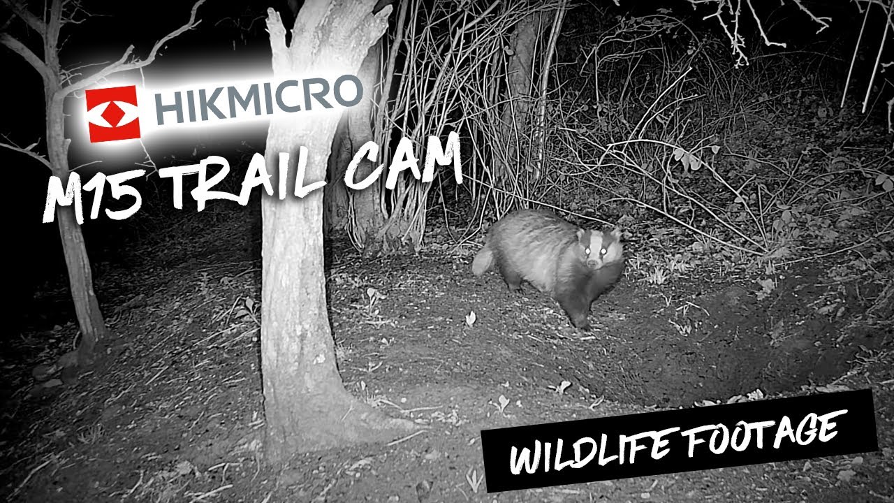 HIKMICRO M15 4G Trail Cam Wildlife Footage
