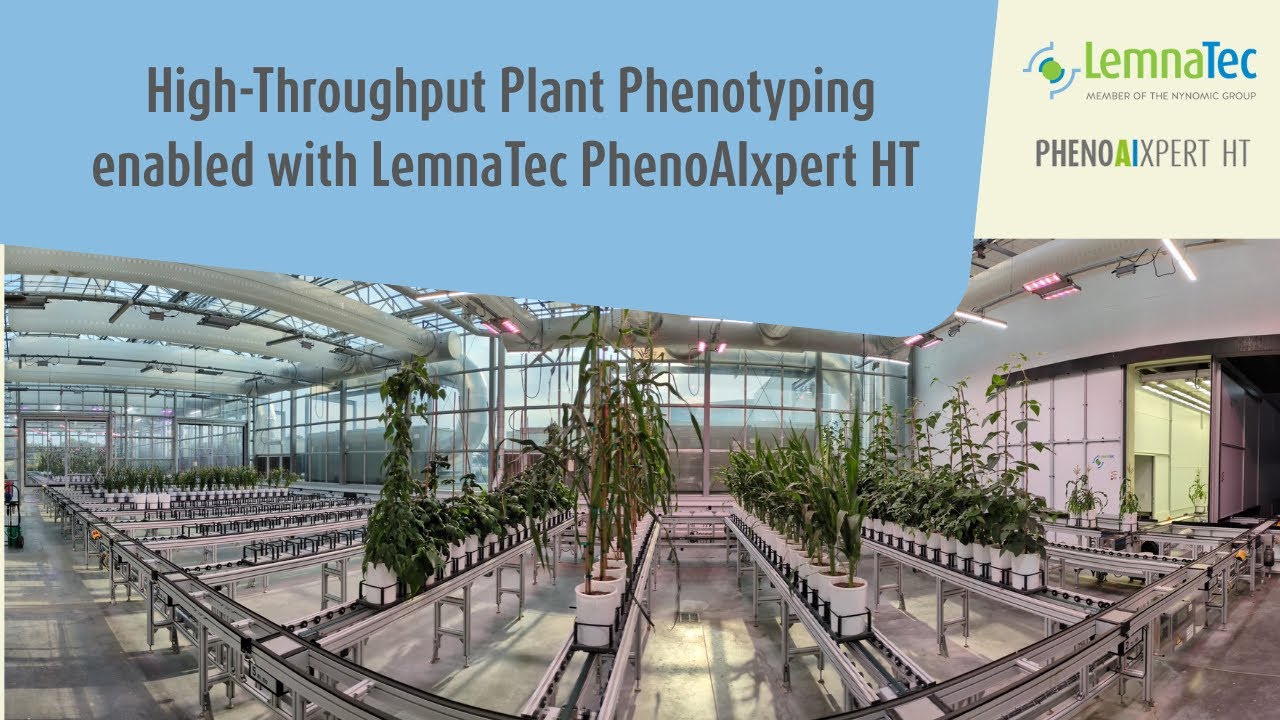 🌿 High-Throughput Plant Phenotyping enabled with LemnaTec PhenoAIxpert HT 🌿