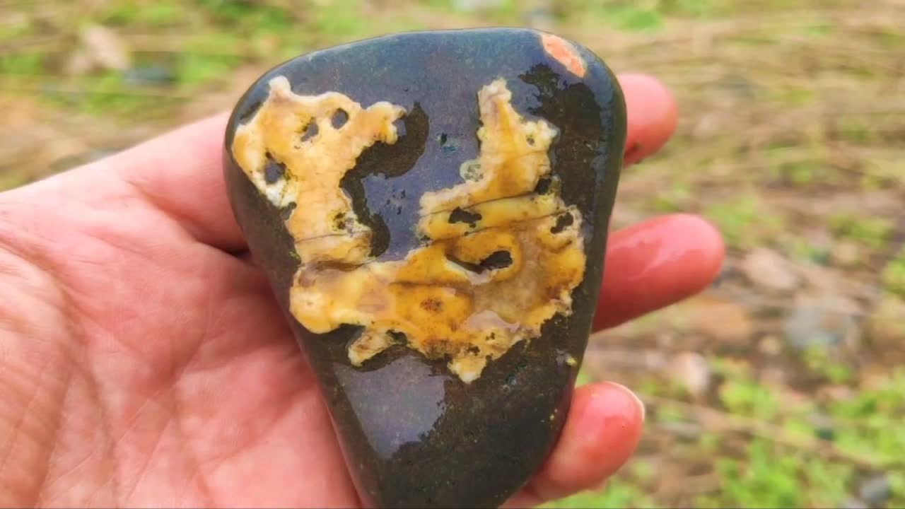 洛阳小伙冒雨古河道捡奇石，接二连三的出现好东西，真是大丰收