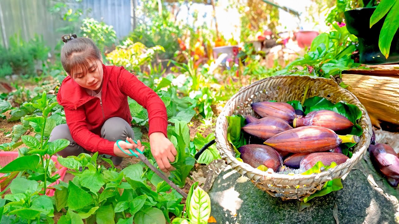 Harvesting Wild Banana Flower And Vegetable Goes to market sell - Live with nature | Nhất New Life