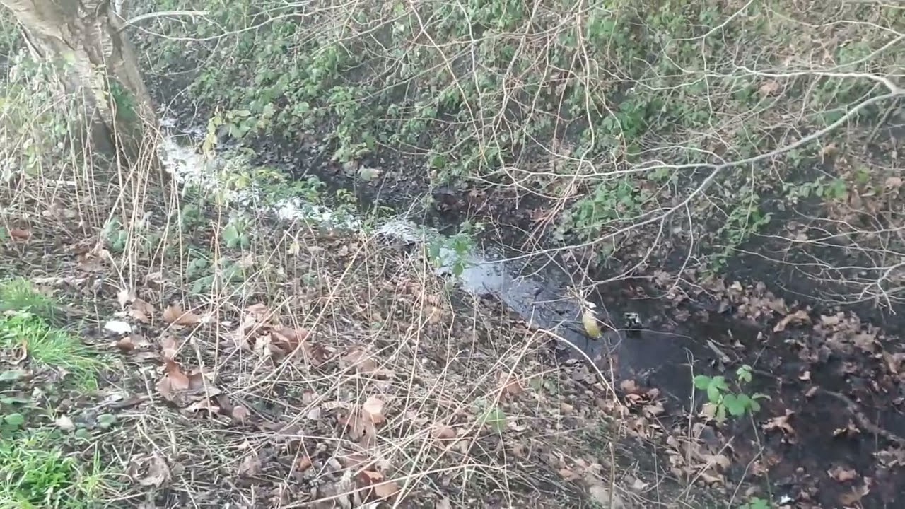 Kreyenbach - Dortmund Deusen - Ex Köttelbecke - Quelle und 400 Meter Wasser führend