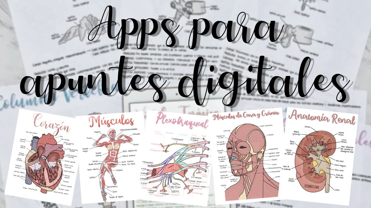 5 APPS QUE USO EN MIS APUNTES | Studiescah