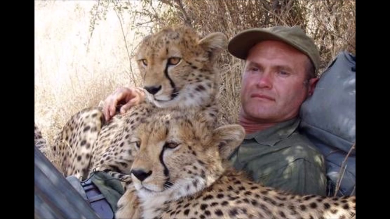 Big Cat Diary Song - David Poore