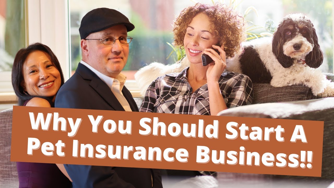 Why You Should Start A Pet Insurance Business