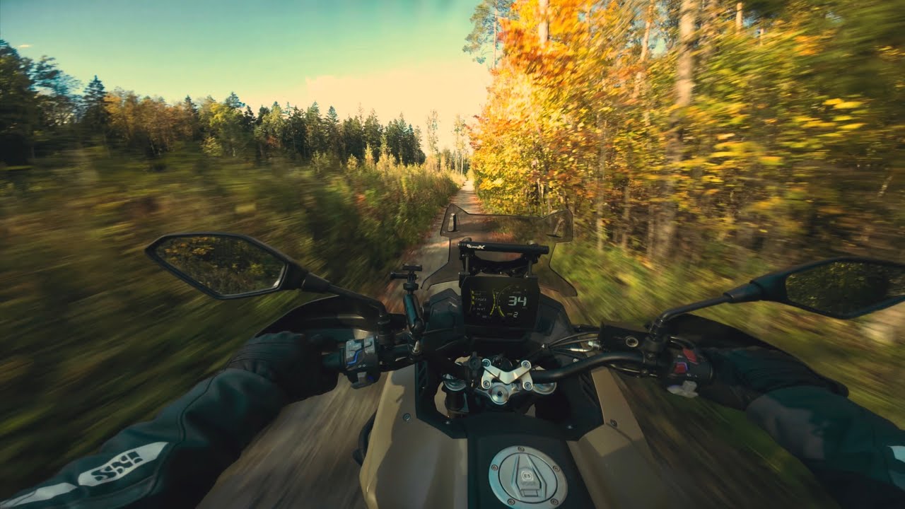 Утренняя поездка до озера #voge625dsx