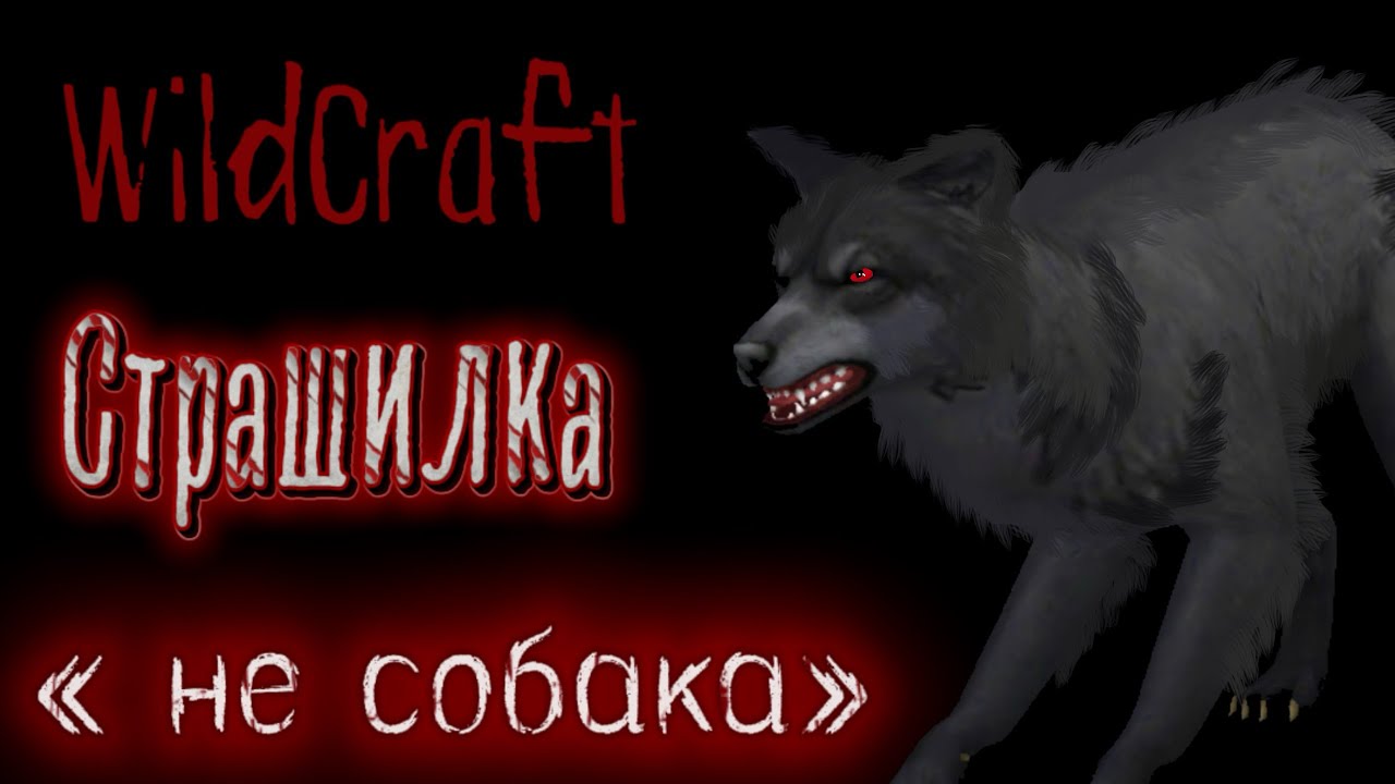 WildCraft страшилка «не собака» ||Котэлька||