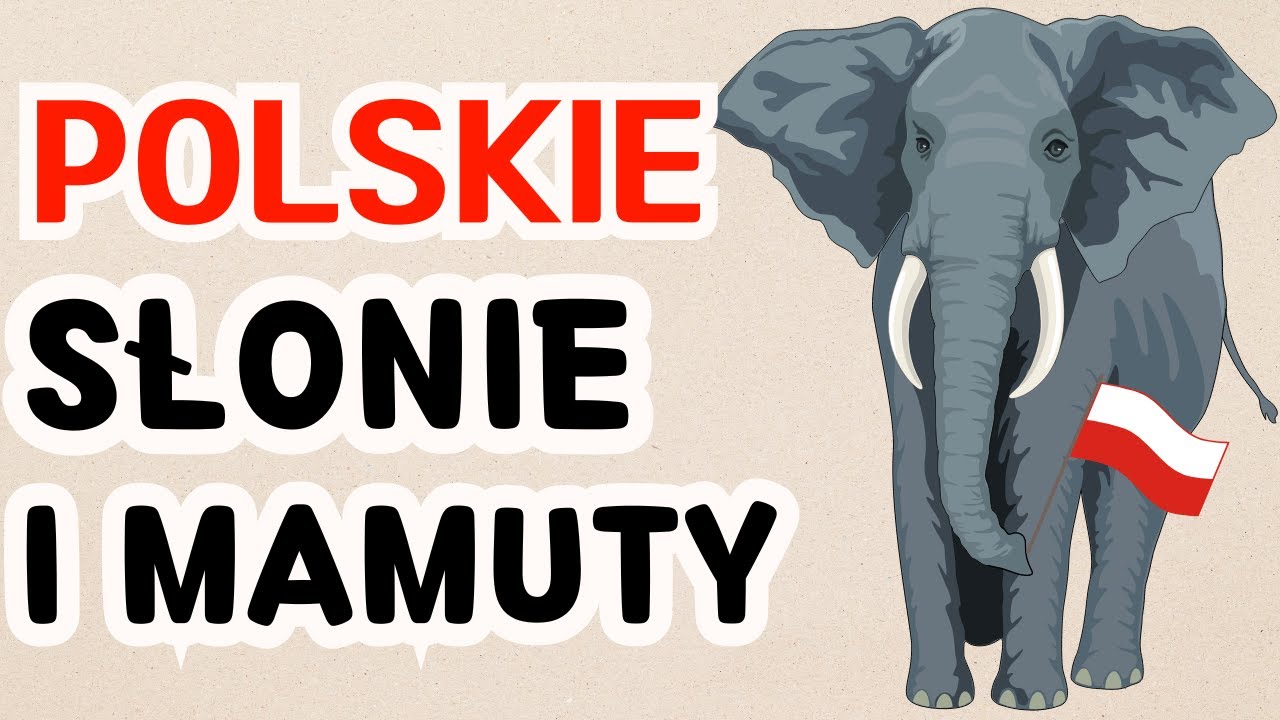 Słonie i mamuty w historii i prehistorii ziem polskich