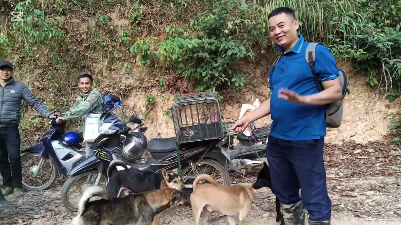 Liên minh 3 tỉnh Thái Nguyên, Tuyên Quang và Lạng Sơn săn lợn xổng để thử chó Zalo 0973856119