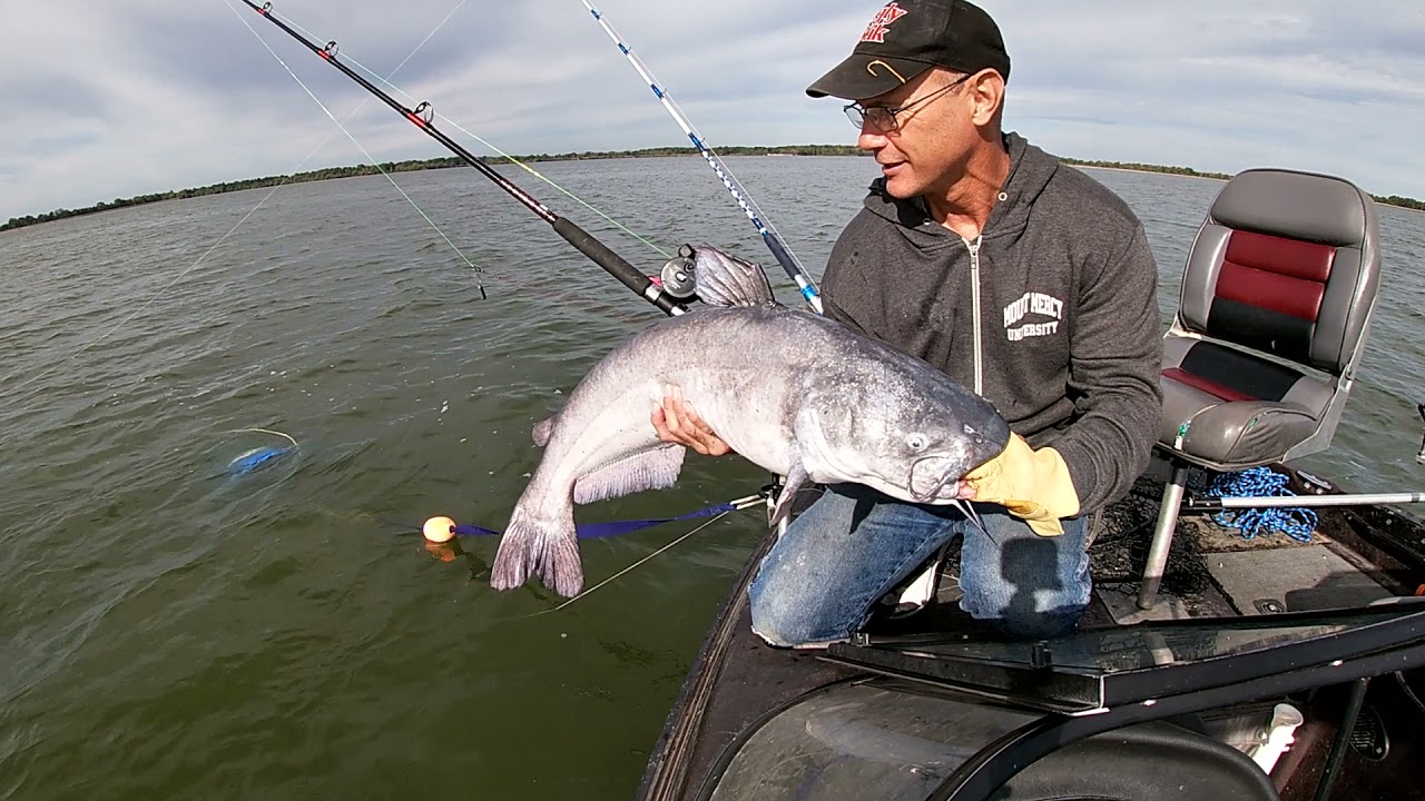 October Catfishing Best Time For Big Catfish
