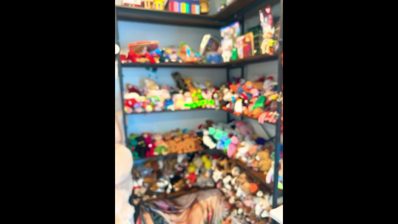 Largest collection of Beanie Babies!