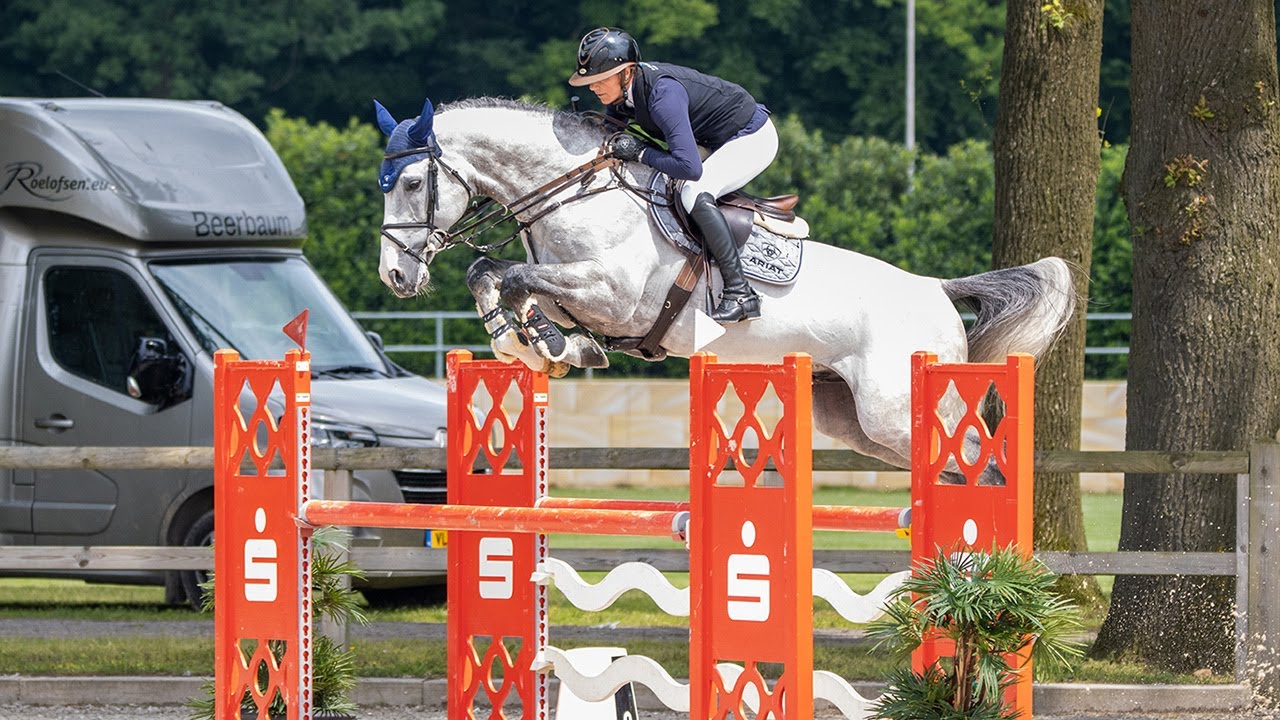AGINO Z (Aganix du Seigneur x Cumano) Riesenbeck 2024