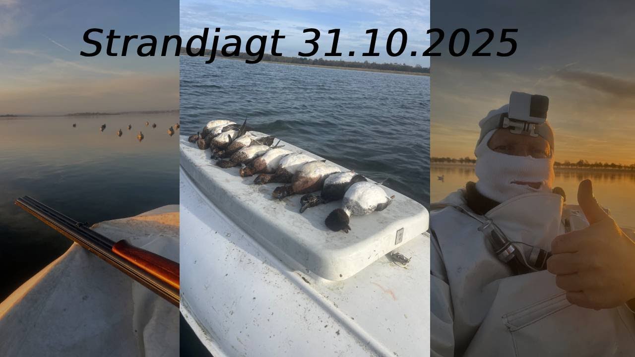 Strandjagt 31 10 2025