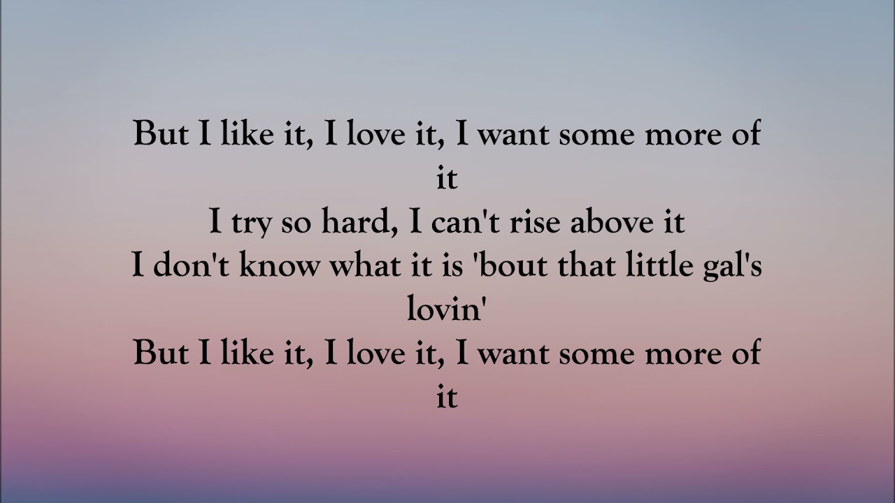 Tim Mcgraw - I Like It I Love It (LYRICS)